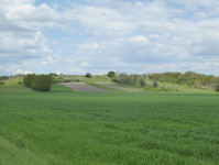 Dünen im Marchfeld